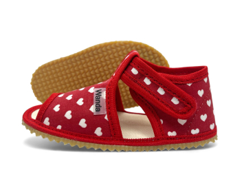 Detsk protimykov papuky Vierka